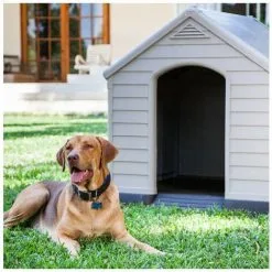 KETER Niche Pour Animaux En Résine DOGHOUSE - Beige Et Marron