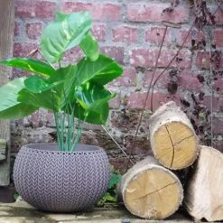 KETER Pot + Cache Pot CURVER Aspect Tricoté - Taille S - Marron - Marron 8 KETER Pot + Cache Pot CURVER Aspect Tricoté - Taille S - Marron - Marron -Keter Soldes Boutique 37570812 4